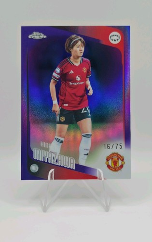Hinata miyazawa purple - 16/75,